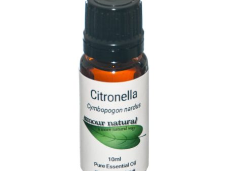 Amour Natural Citronella Oil 10ml Online