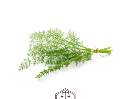 Weigh - Fennel (30g) Online Sale