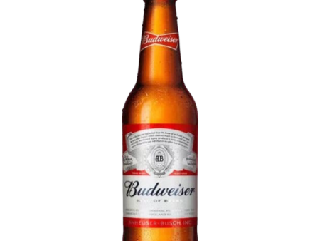 BUDWEISER BEER - GLASS BOTTLES (330ml) x 24 Online now