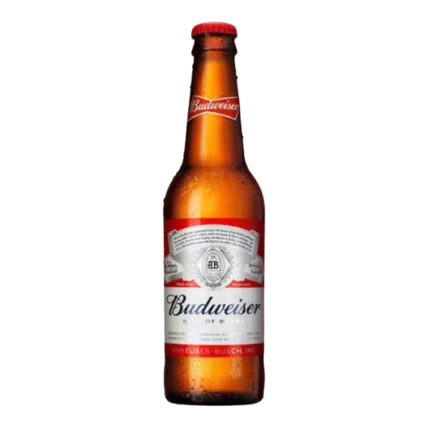 BUDWEISER BEER - GLASS BOTTLES (330ml) x 24 Online now