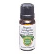 Amour Natural Organic Oil Eucalyptus 10ml on Sale