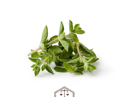 Weigh - Oregano (30g) For Discount