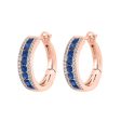 14Kt Rose Gold Diamond 1 5Ctw & Sapphire 7 8Ctw Earring Online now