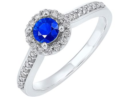 14Kt White Gold Diamond 1 3Ctw & Sapphire 1 3Ctw Ring For Discount