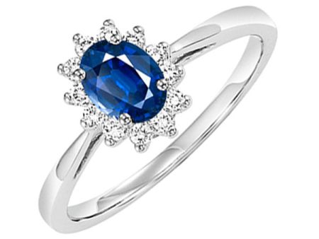 14Kt White Gold Diamond 1 5Ctw & Sapphire 1 2Ctw Ring Supply