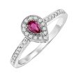 14Kt White Gold Diamond 1 6Ctw & Ruby 1 6Ctw Ring Online Sale