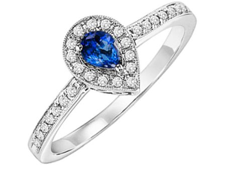 14Kt White Gold Diamond 1 6Ctw & Sapphire 1 6Ctw Ring For Discount