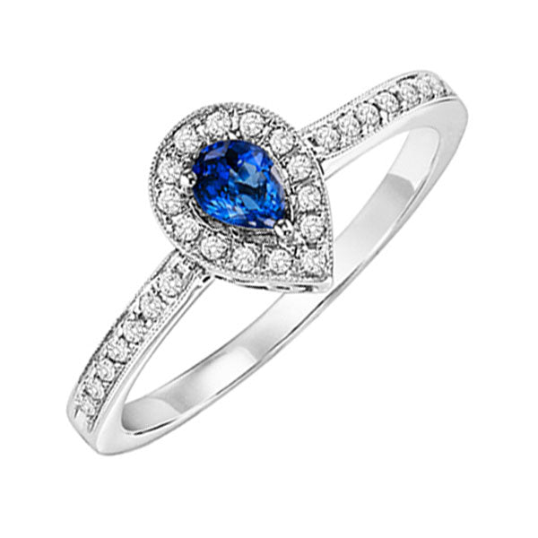 14Kt White Gold Diamond 1 6Ctw & Sapphire 1 6Ctw Ring For Discount