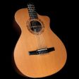 Used Taylor JMSM Jason Mraz Signature Grand Concert Acoustic Guitar Fashion