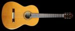 Used Cordoba Fusion Orchestra CD IN Cedar Top Acoustic Nylon-String Acoustic Guitar Natural Fashion