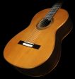 Used Cordoba Fusion Orchestra CD IN Cedar Top Acoustic Nylon-String Acoustic Guitar Natural Fashion