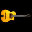 Gitane D-500 Professional Gypsy Jazz Guitar Natural Hot on Sale